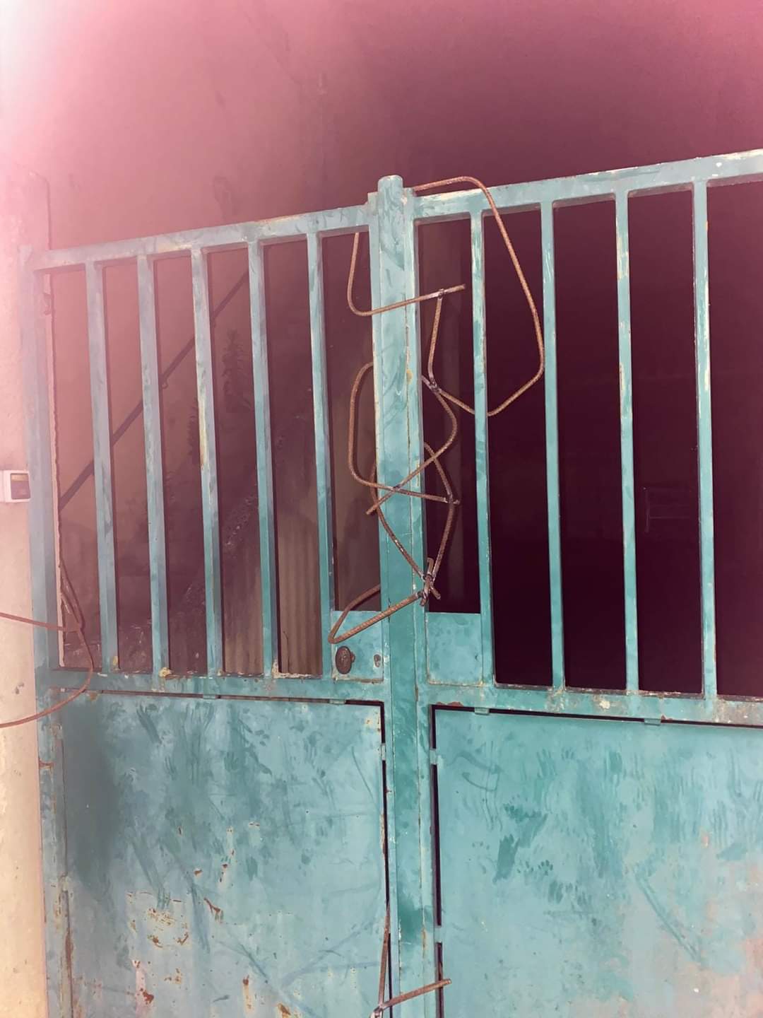 445170554_968305958424919_595854063826050677_n.jpg (104 KB)