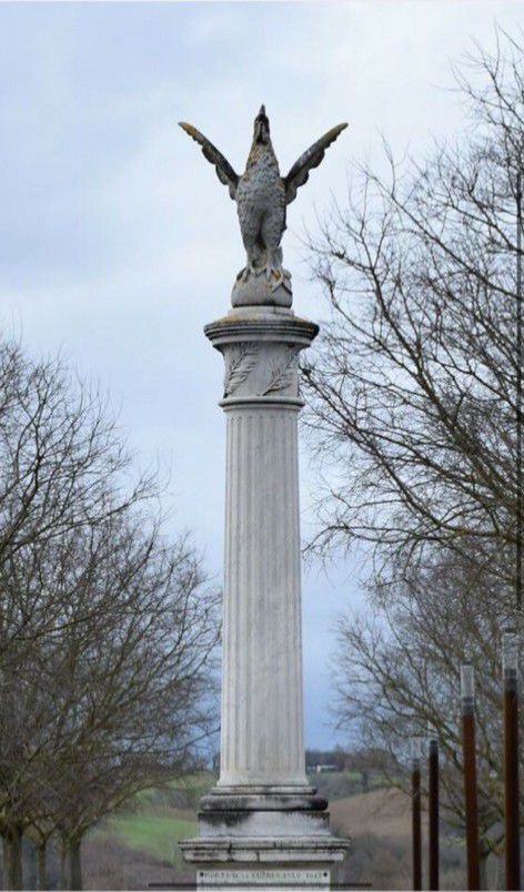 IMG-20231111-WA0003.jpg (135 KB)