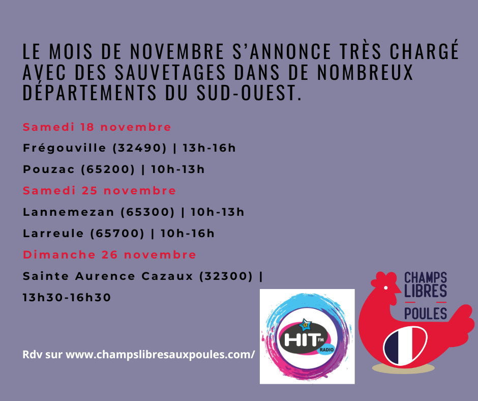 Les poules.png (158 KB)