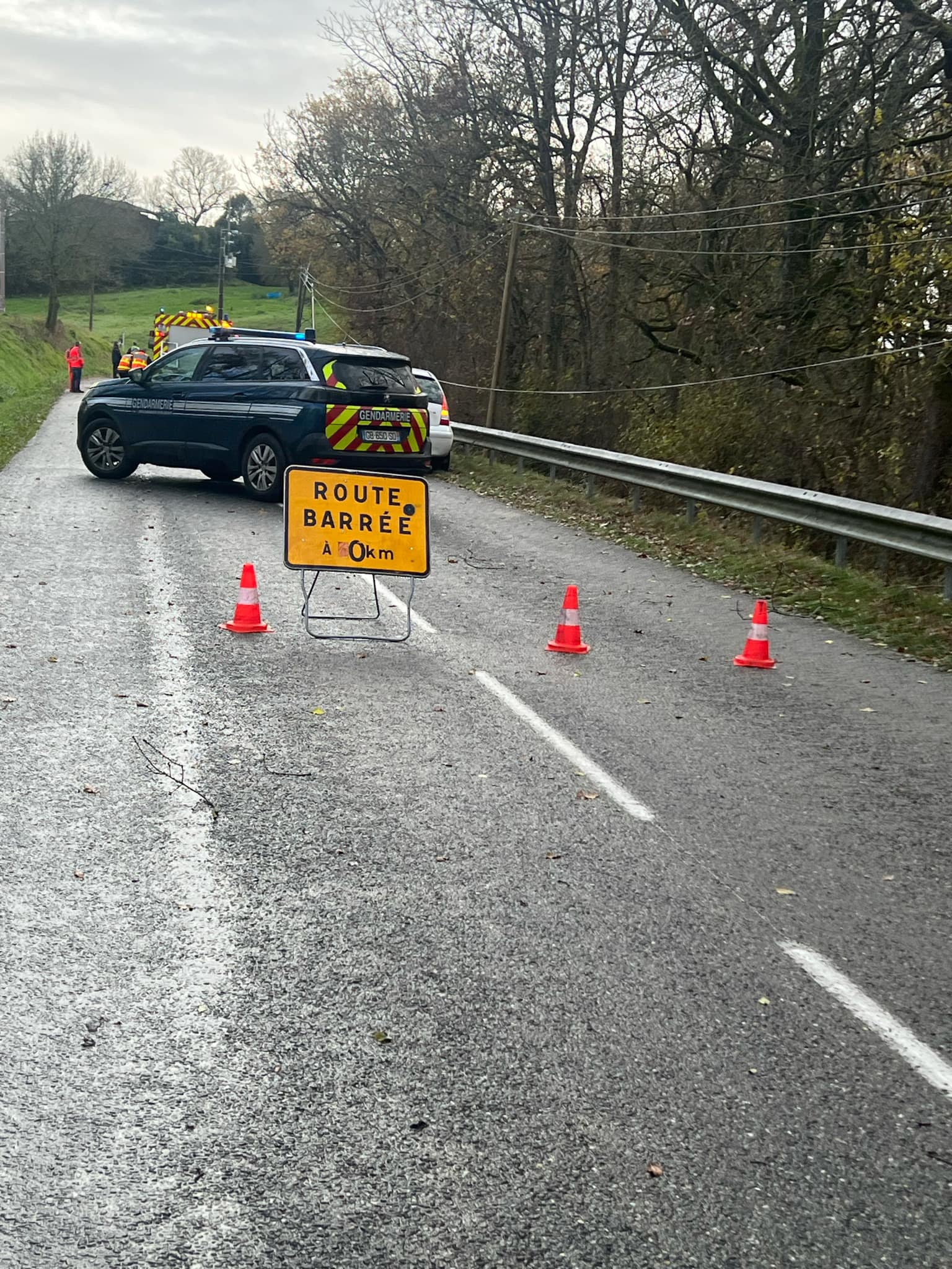 Messenger_creation_D13CD6F9-993E-424E-9ABA-D86DE02A4159.jpeg (517 KB)