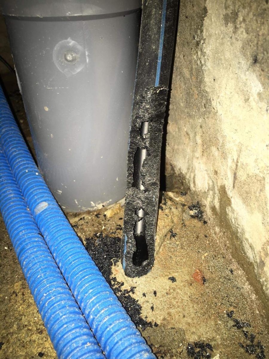 SAVE_20220415_143200.jpg (488 KB)