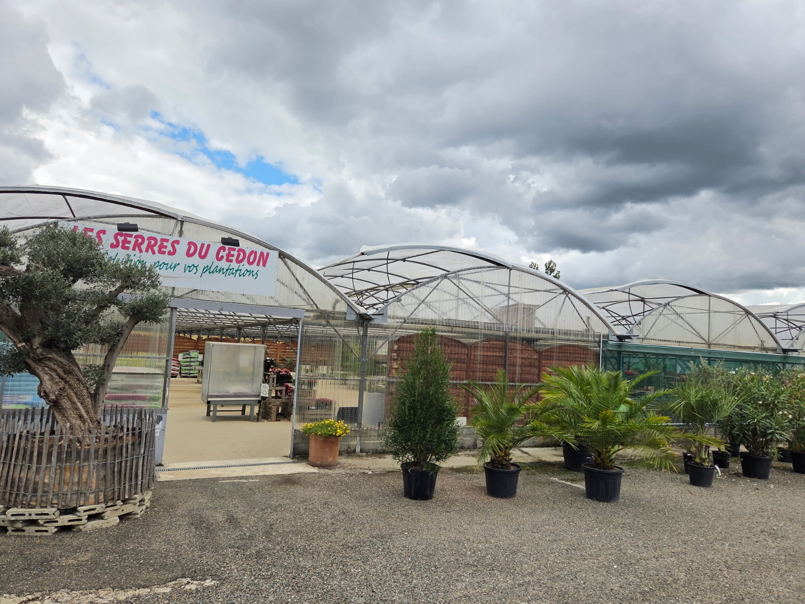 grele (2).jpg (708 KB)