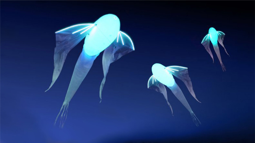 lumineole_article_une.jpeg (77 KB)