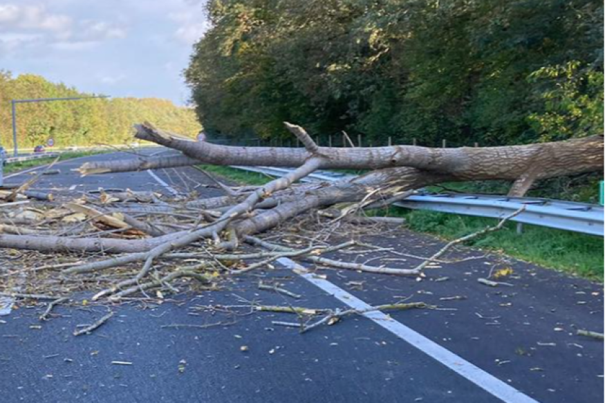 Hautes-Pyrénées : un arbre tombe sur deux voitures circulant sur l’A64
