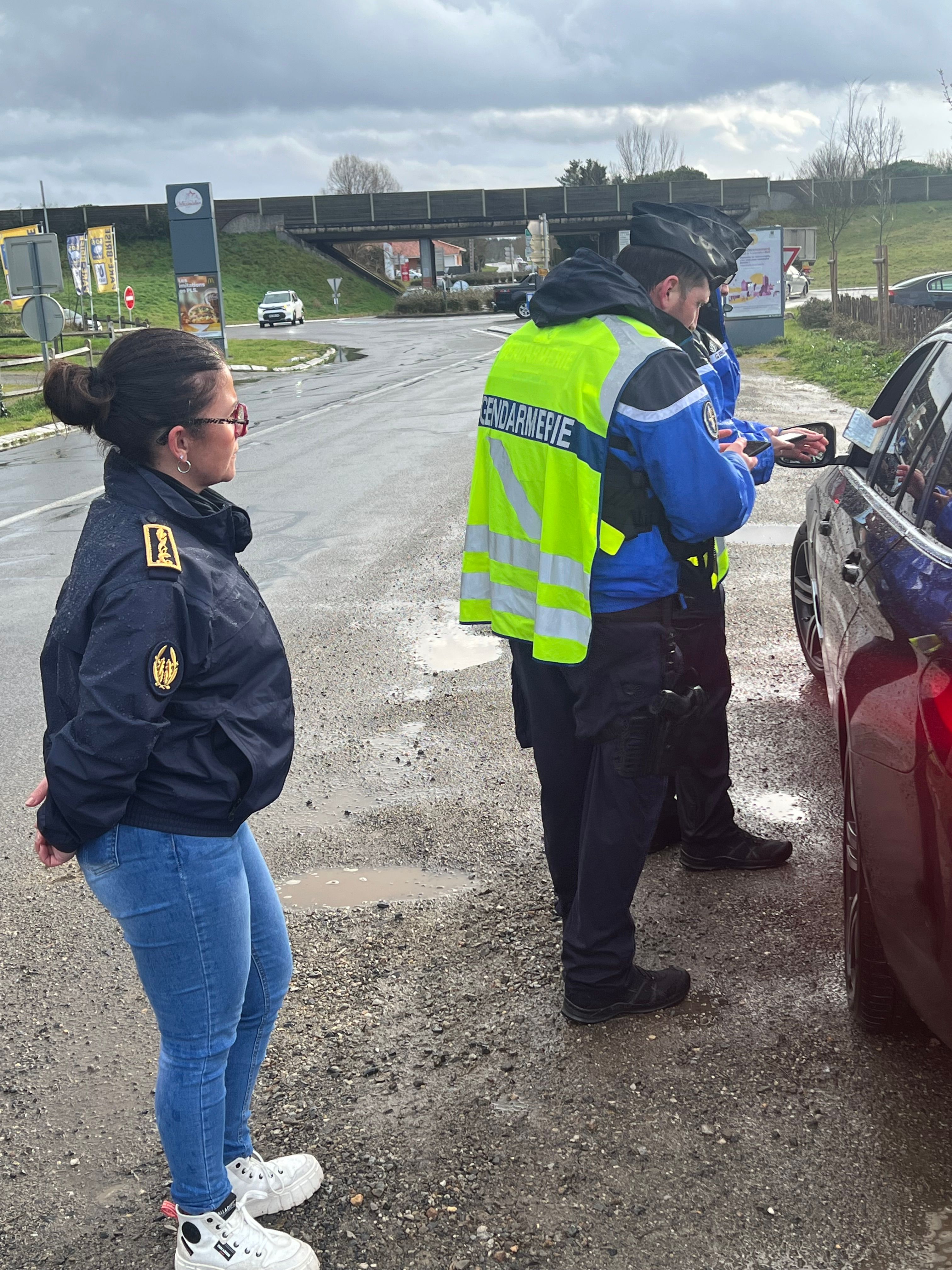 picture (12).jpeg (1.68 MB)