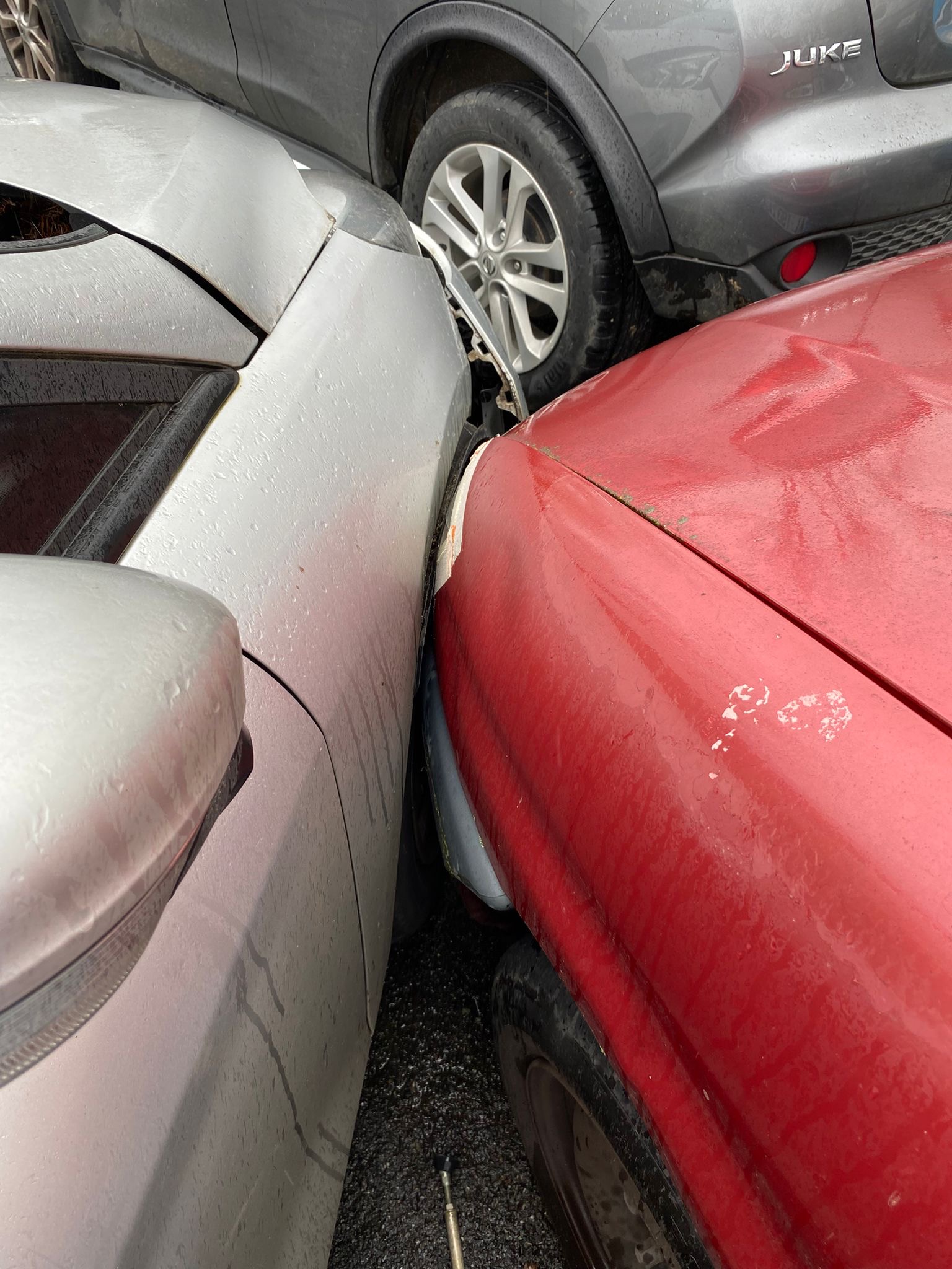 picture - 2026-02-16T144226.793.jpg (500 KB)